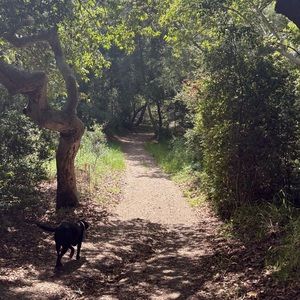 Meet your Posher, Ava